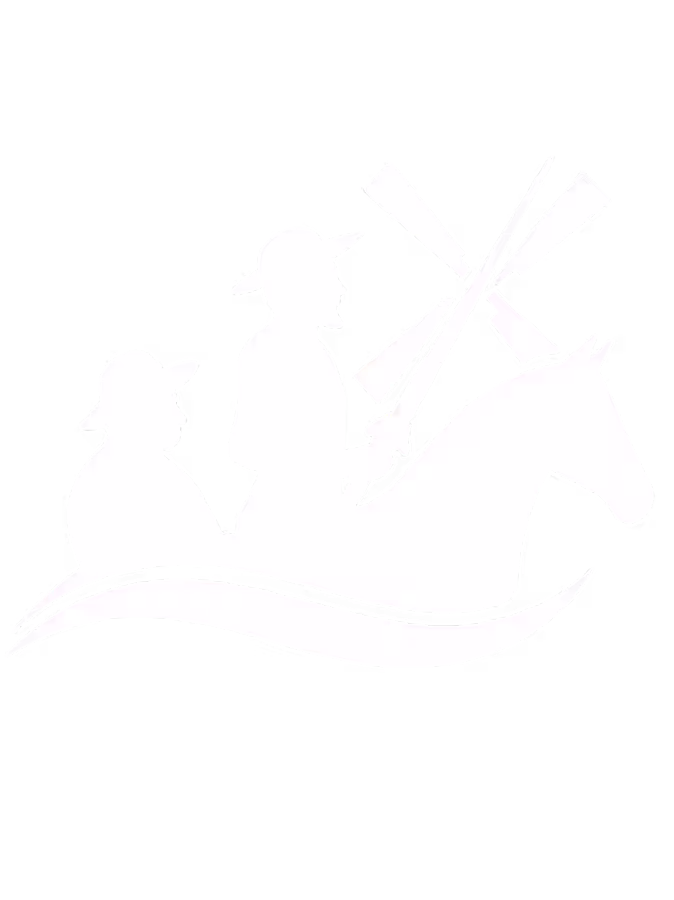 Don Quijote